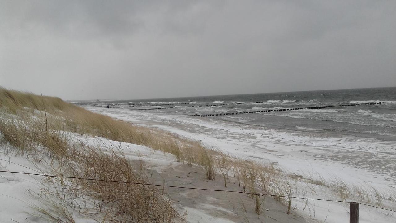Logierhaus Friedrich We 15 - "Ostseeluft" Zingst Buitenkant foto